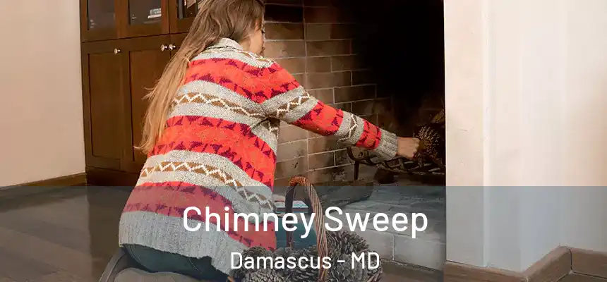  Chimney Sweep Damascus - MD