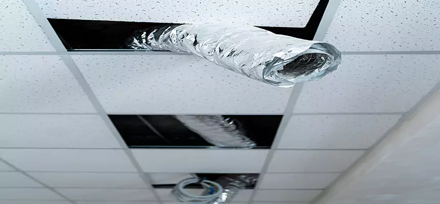 Our Air Duct Pet Hair Removal Services in Damascus, MD