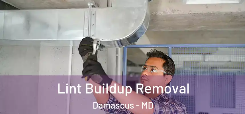  Lint Buildup Removal Damascus - MD
