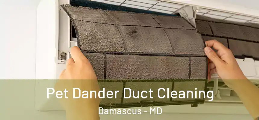  Pet Dander Duct Cleaning Damascus - MD