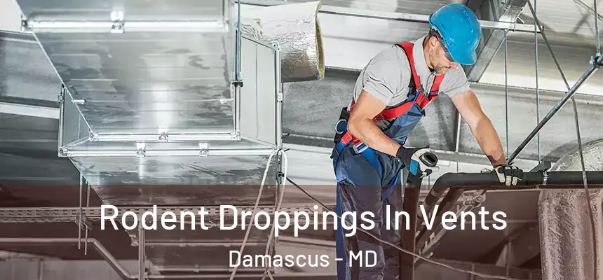 Rodent Droppings In Vents Damascus - MD