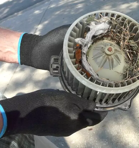 About Air Duct Mice Removal in Damascus, MD