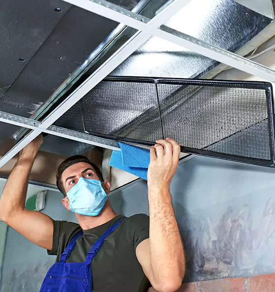 Professional Air Duct Pollen Cleaning in Damascus, MD