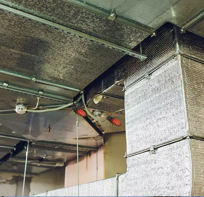 Why Homeowners & Businesses Trust Us in Damascus, MD?