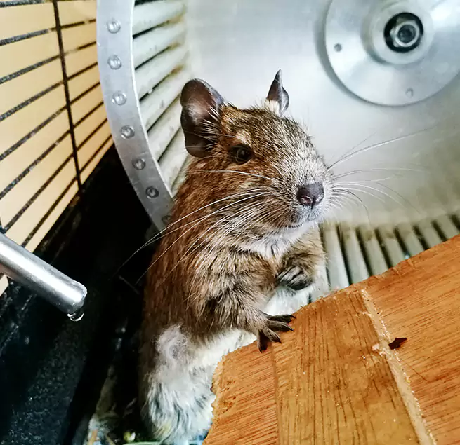 Why Homeowners & Businesses Trust Us Damascus, MD?