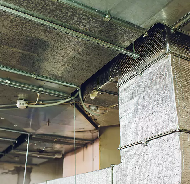 Why Homeowners & Businesses Trust Us in Damascus, MD?